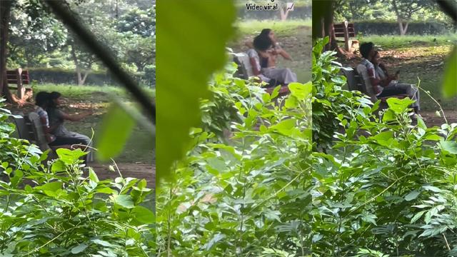 Delhi Teen Couple In Park Viral Xx Video – Teen Xxx Video